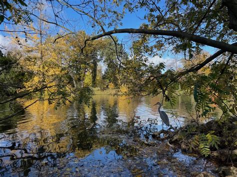 bois de boulogne nuit prix|Dix façons de vraiment profiter du bois de Boulogne